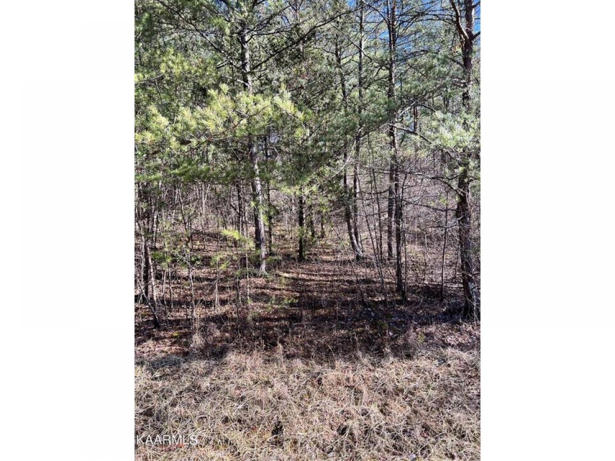 Picture of Residential Land For Rent in Crossville, Tennessee, United States