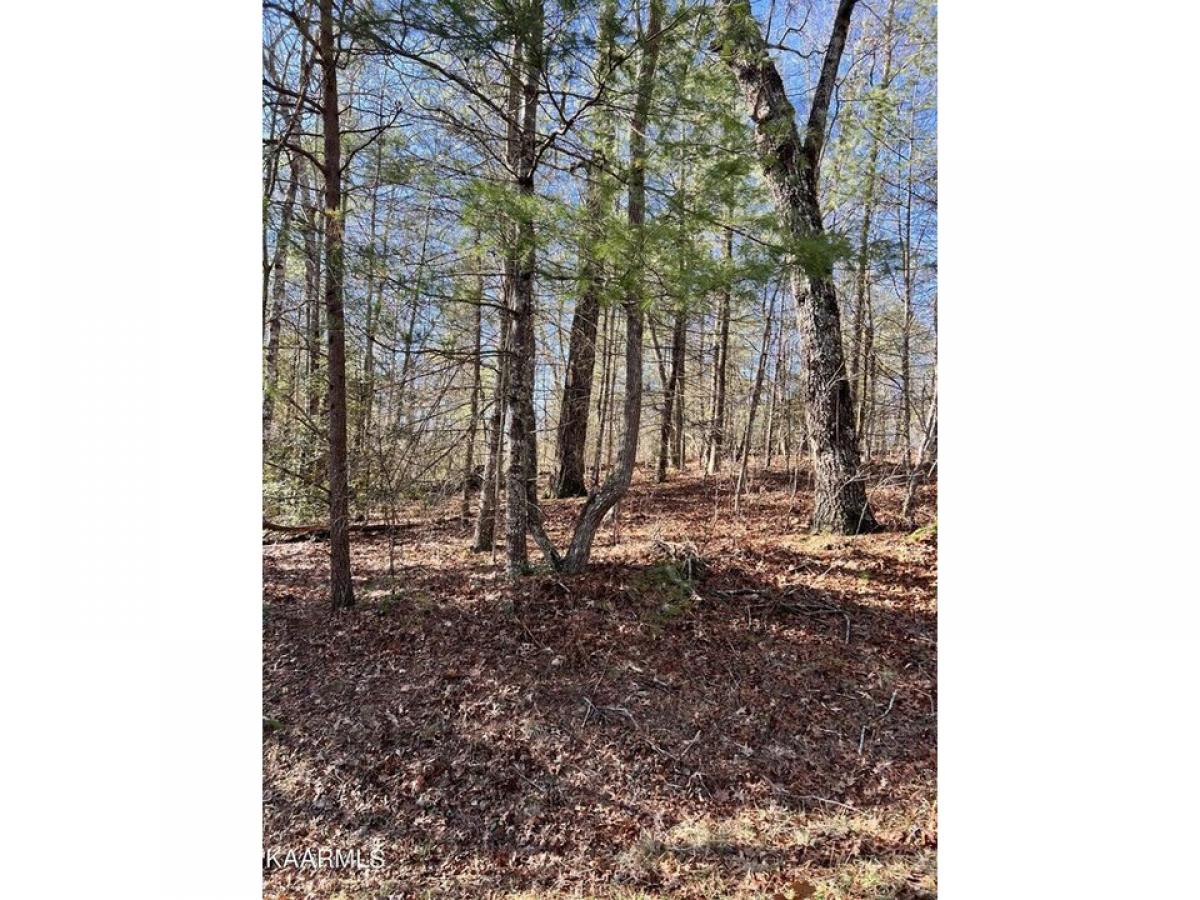 Picture of Residential Land For Rent in Crossville, Tennessee, United States