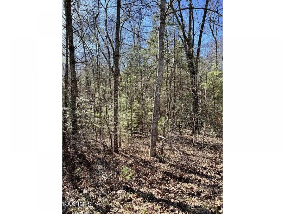 Picture of Residential Land For Rent in Crossville, Tennessee, United States