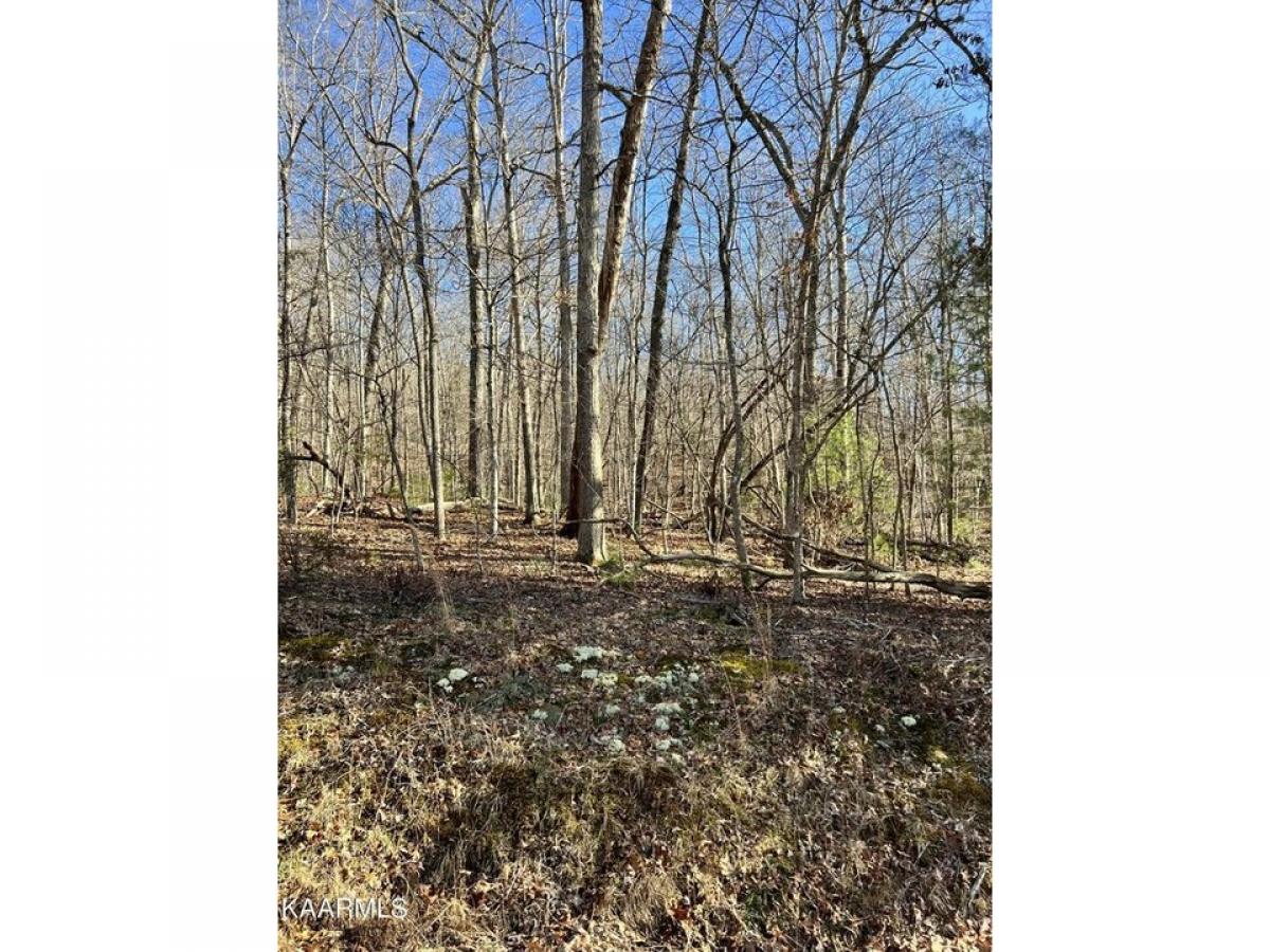 Picture of Residential Land For Rent in Crossville, Tennessee, United States