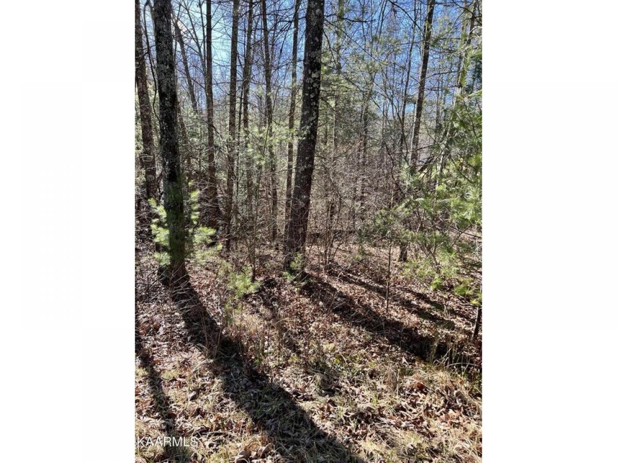 Picture of Residential Land For Rent in Crossville, Tennessee, United States