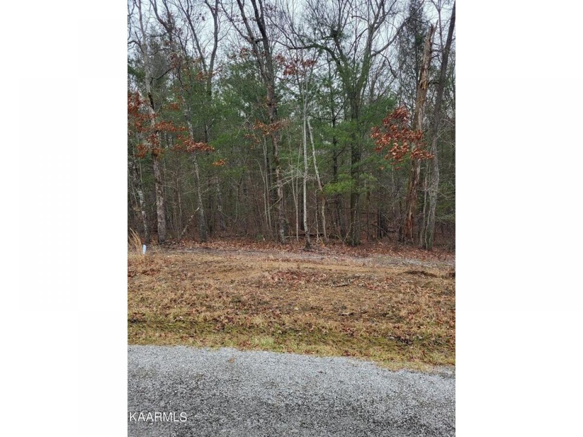 Picture of Residential Land For Rent in Crossville, Tennessee, United States