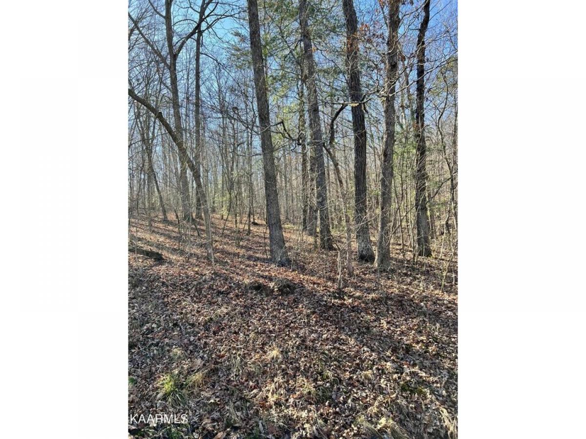 Picture of Residential Land For Rent in Crossville, Tennessee, United States