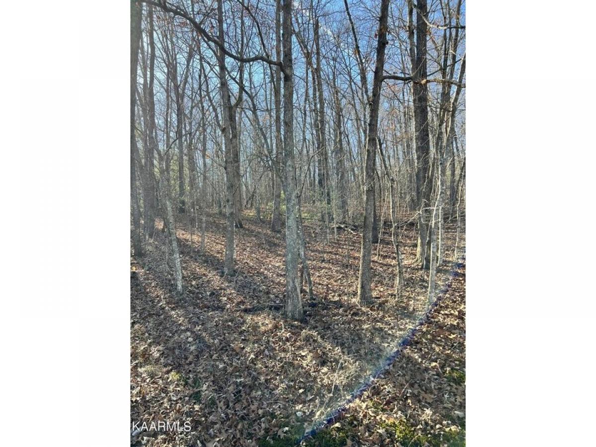 Picture of Residential Land For Rent in Crossville, Tennessee, United States