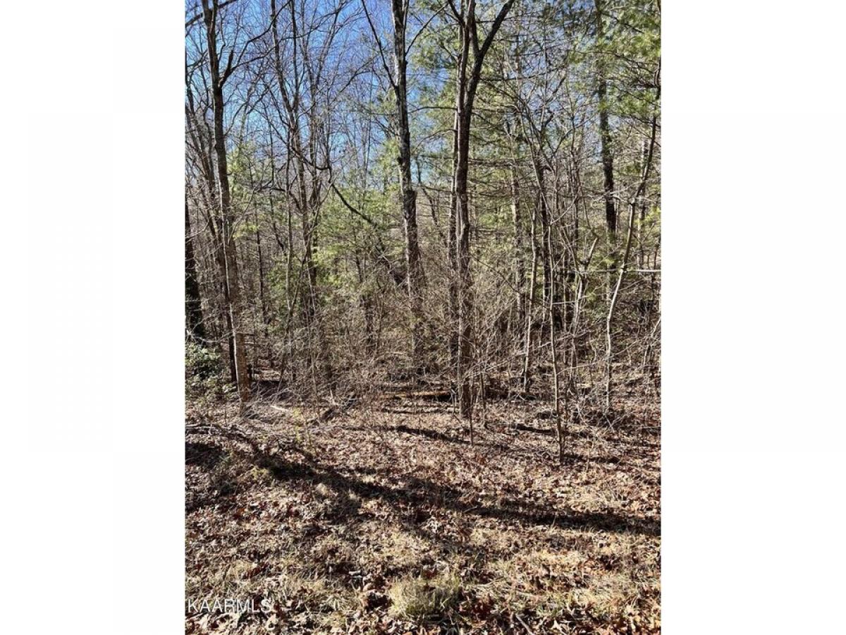 Picture of Residential Land For Rent in Crossville, Tennessee, United States