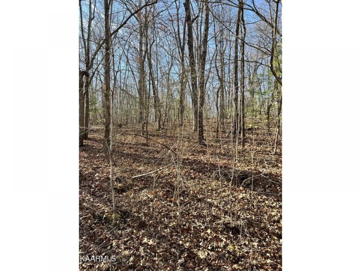 Picture of Residential Land For Rent in Crossville, Tennessee, United States