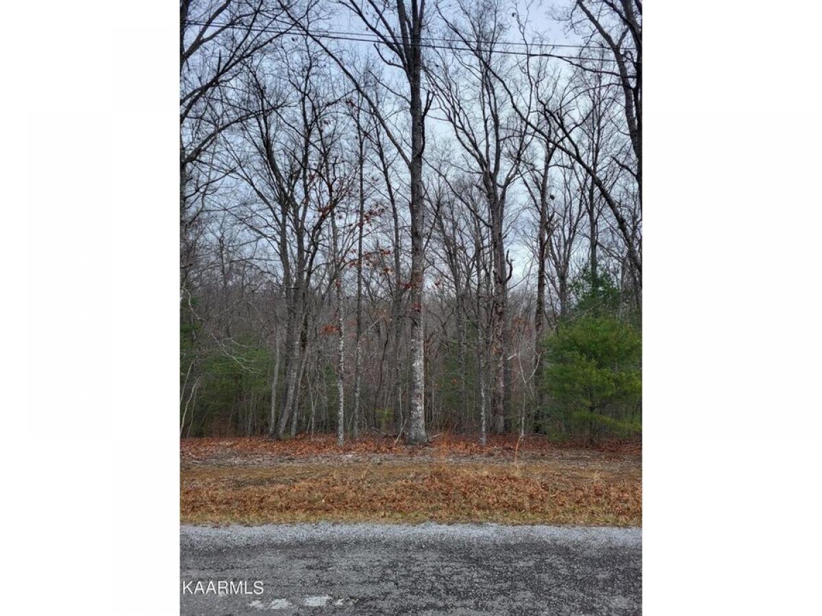 Picture of Residential Land For Rent in Crossville, Tennessee, United States