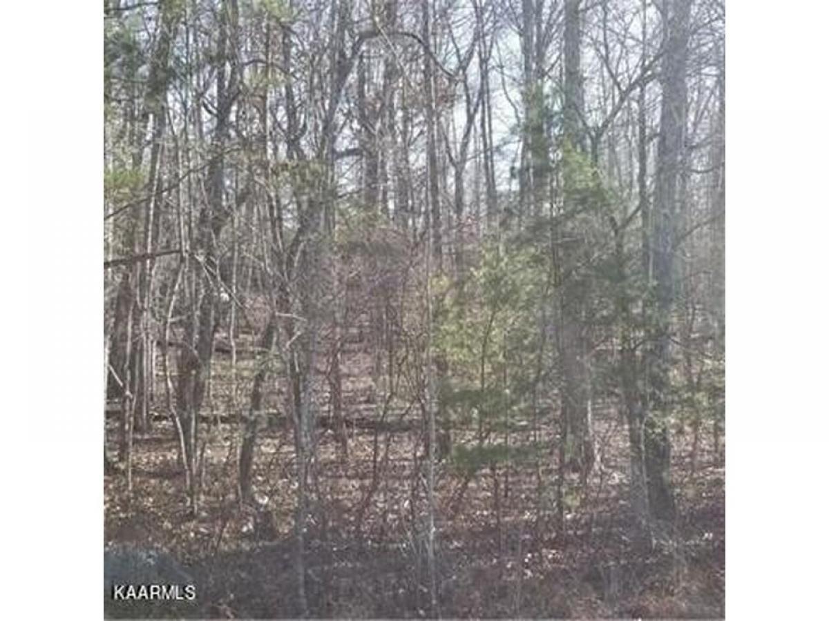 Picture of Residential Land For Sale in Fairfield Glade, Tennessee, United States