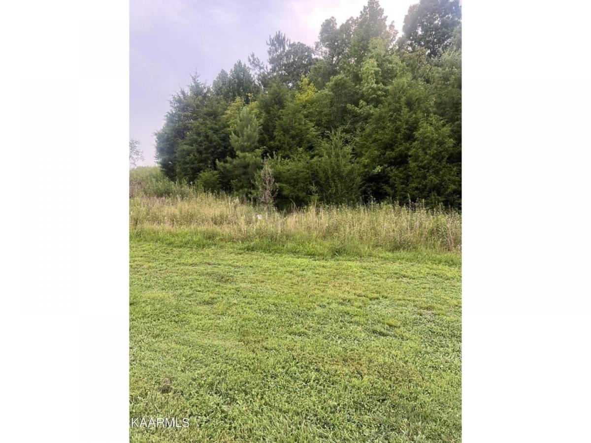 Picture of Residential Land For Sale in Loudon, Tennessee, United States