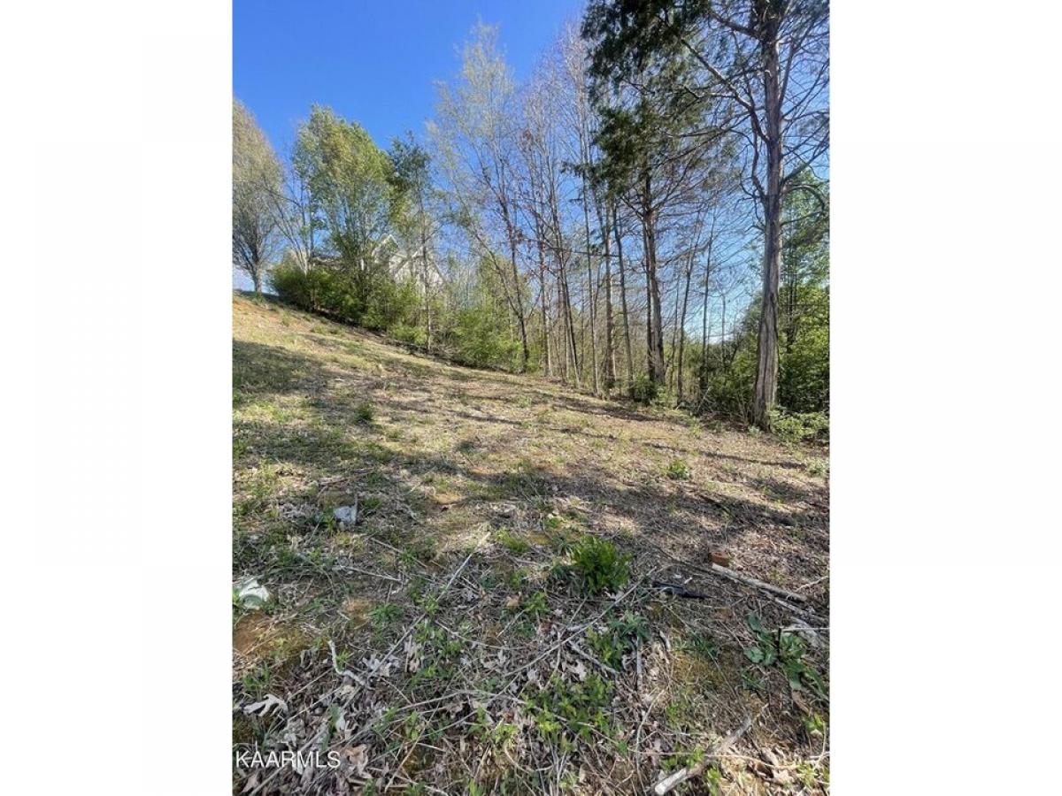 Picture of Residential Land For Sale in Knoxville, Tennessee, United States