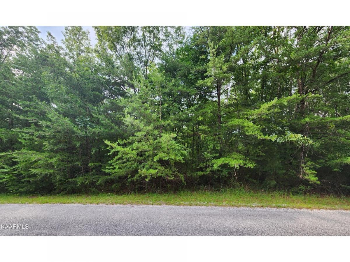 Picture of Residential Land For Sale in Fairfield Glade, Tennessee, United States