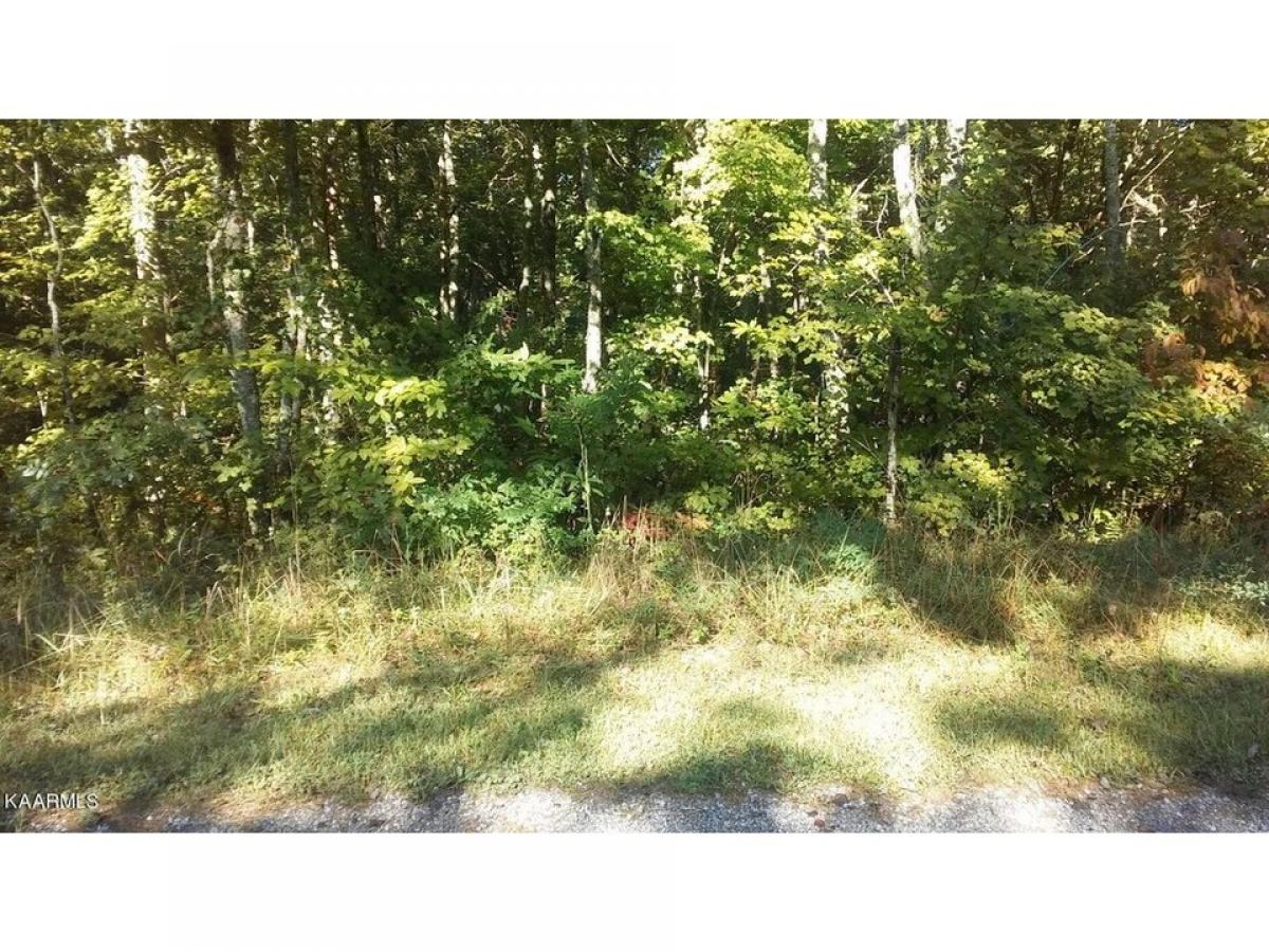 Picture of Residential Land For Rent in Crossville, Tennessee, United States