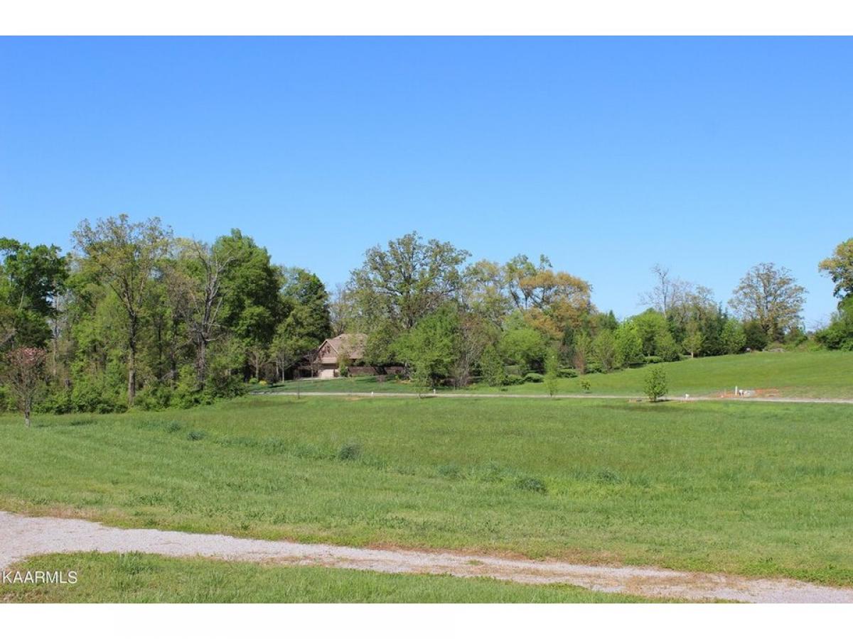 Picture of Residential Land For Sale in Madisonville, Tennessee, United States