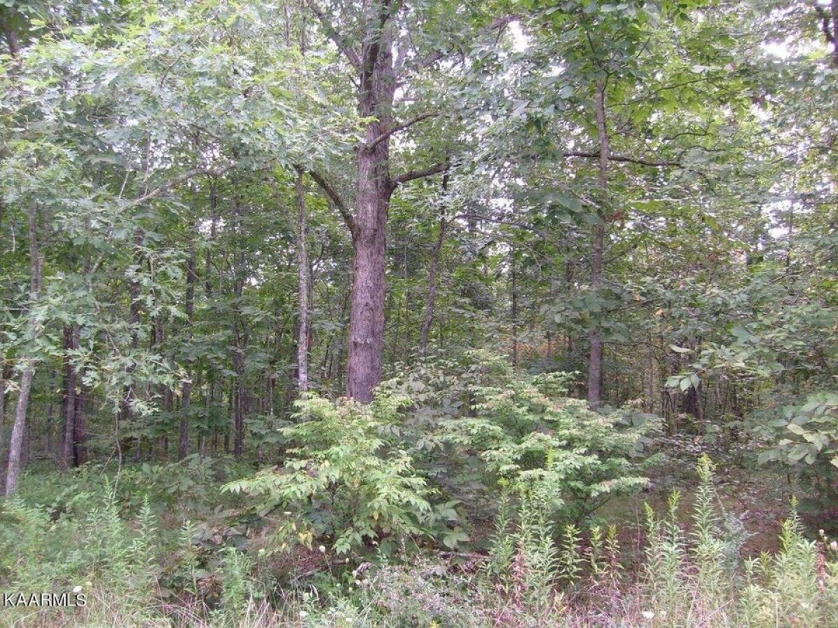 Picture of Residential Land For Rent in Crossville, Tennessee, United States