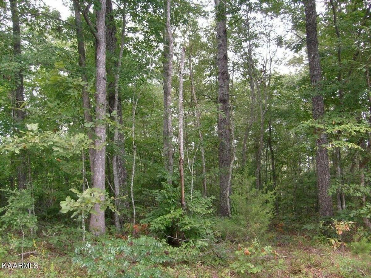 Picture of Residential Land For Rent in Crossville, Tennessee, United States