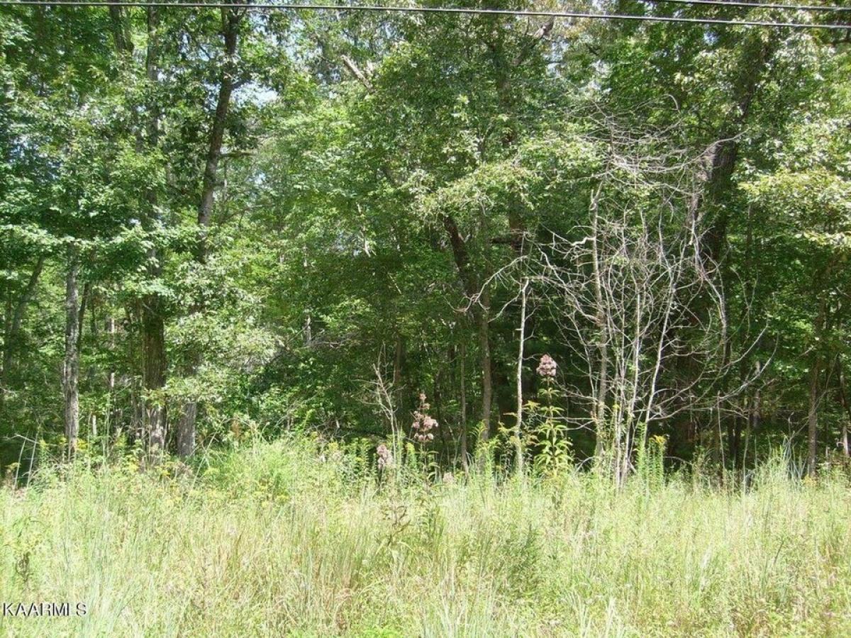 Picture of Residential Land For Rent in Crossville, Tennessee, United States