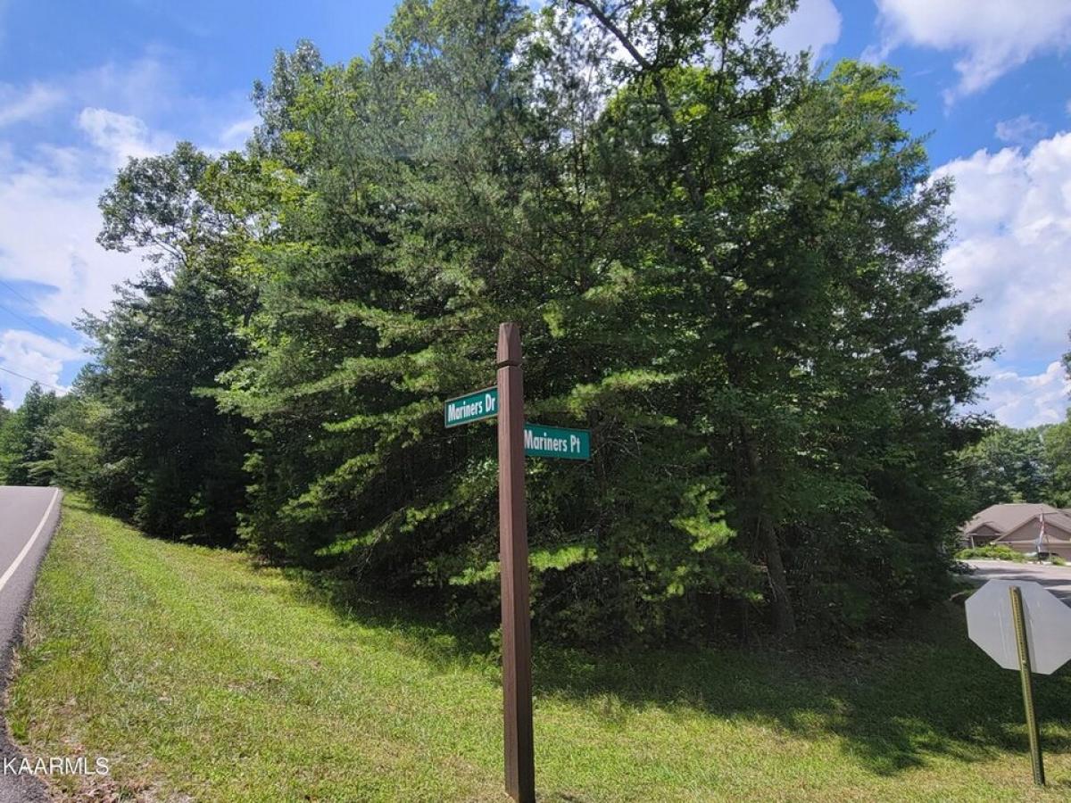 Picture of Residential Land For Sale in Crossville, Tennessee, United States