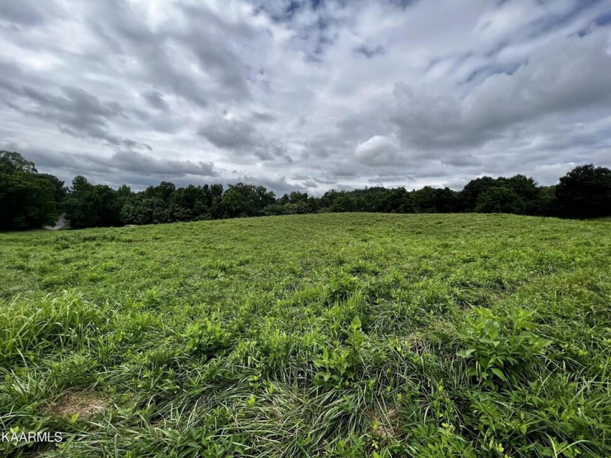 Picture of Residential Land For Sale in New Tazewell, Tennessee, United States