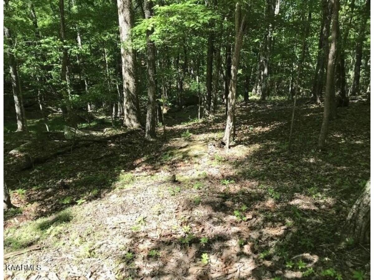 Picture of Residential Land For Sale in Fairfield Glade, Tennessee, United States