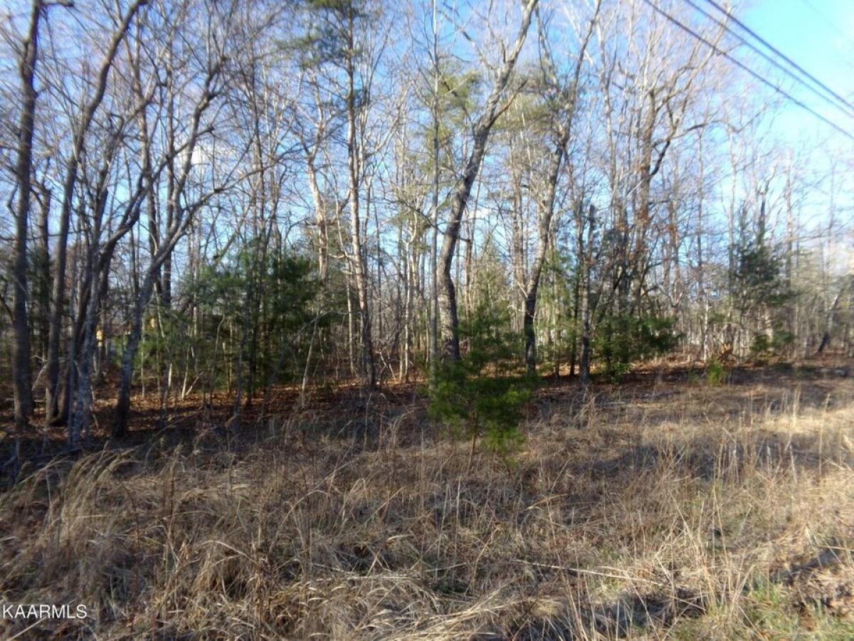 Picture of Residential Land For Rent in Crossville, Tennessee, United States