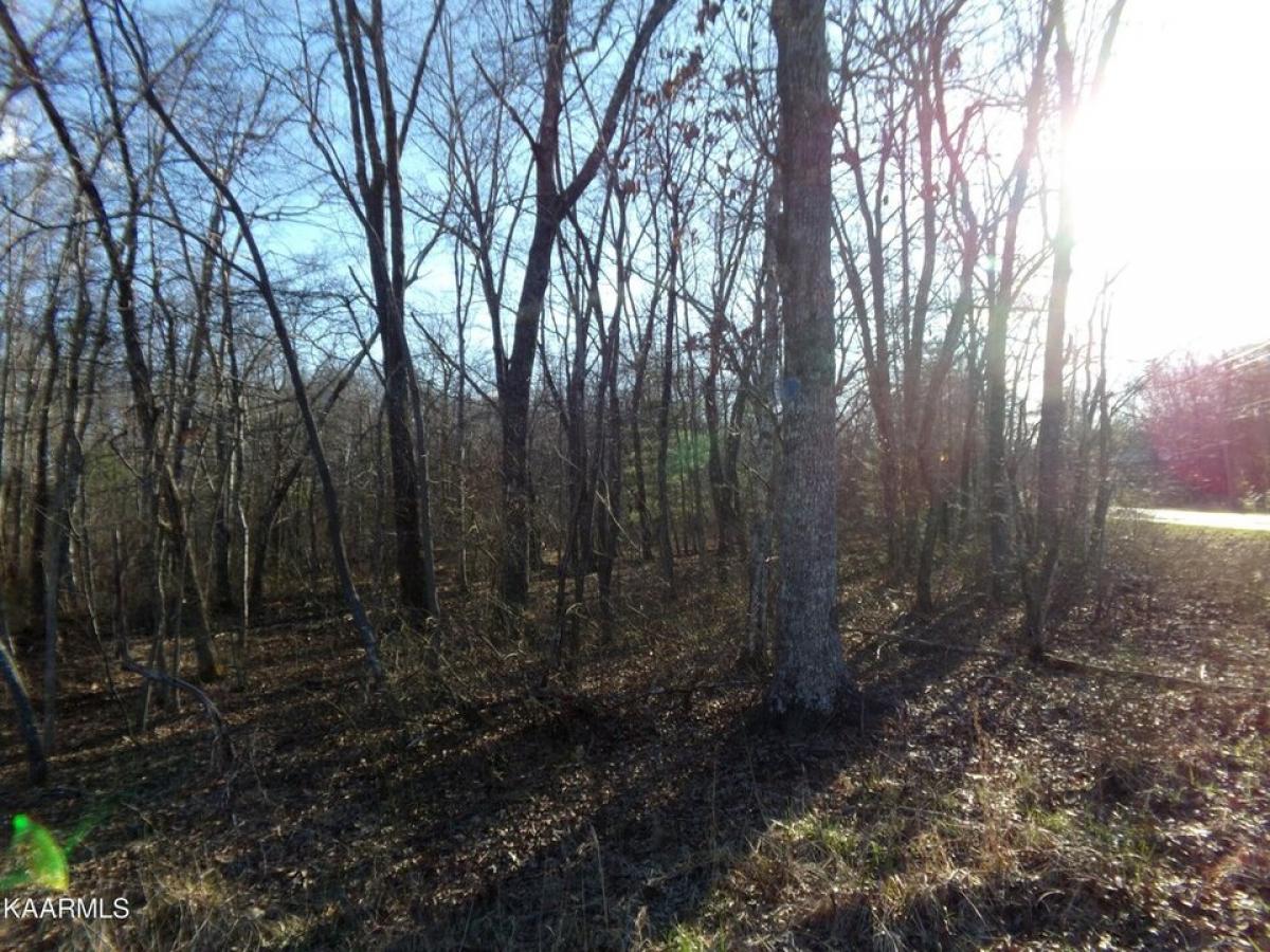 Picture of Residential Land For Rent in Crossville, Tennessee, United States