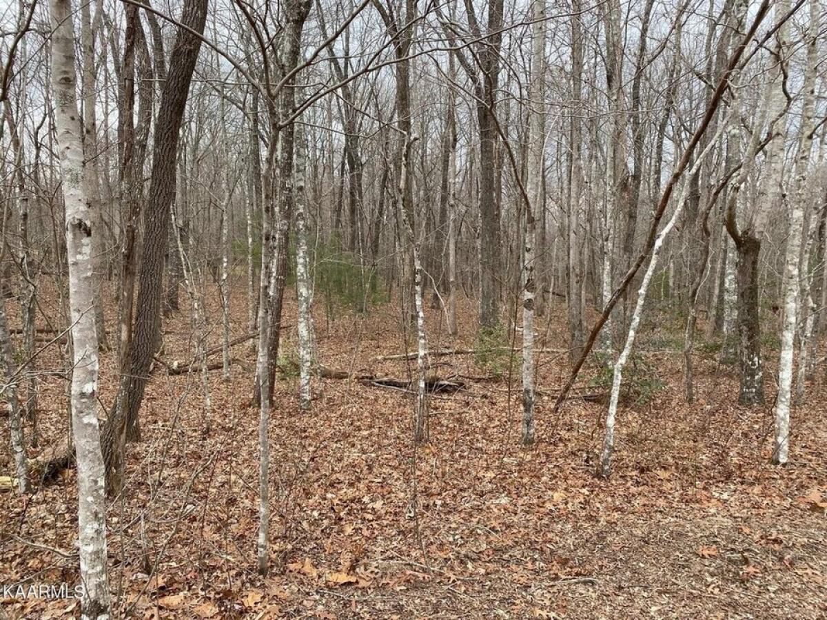 Picture of Residential Land For Rent in Crossville, Tennessee, United States