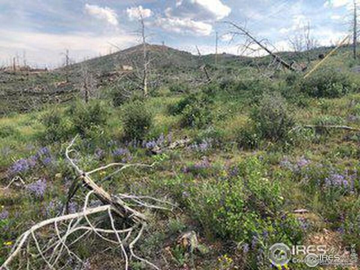 Picture of Residential Land For Sale in Livermore, Colorado, United States