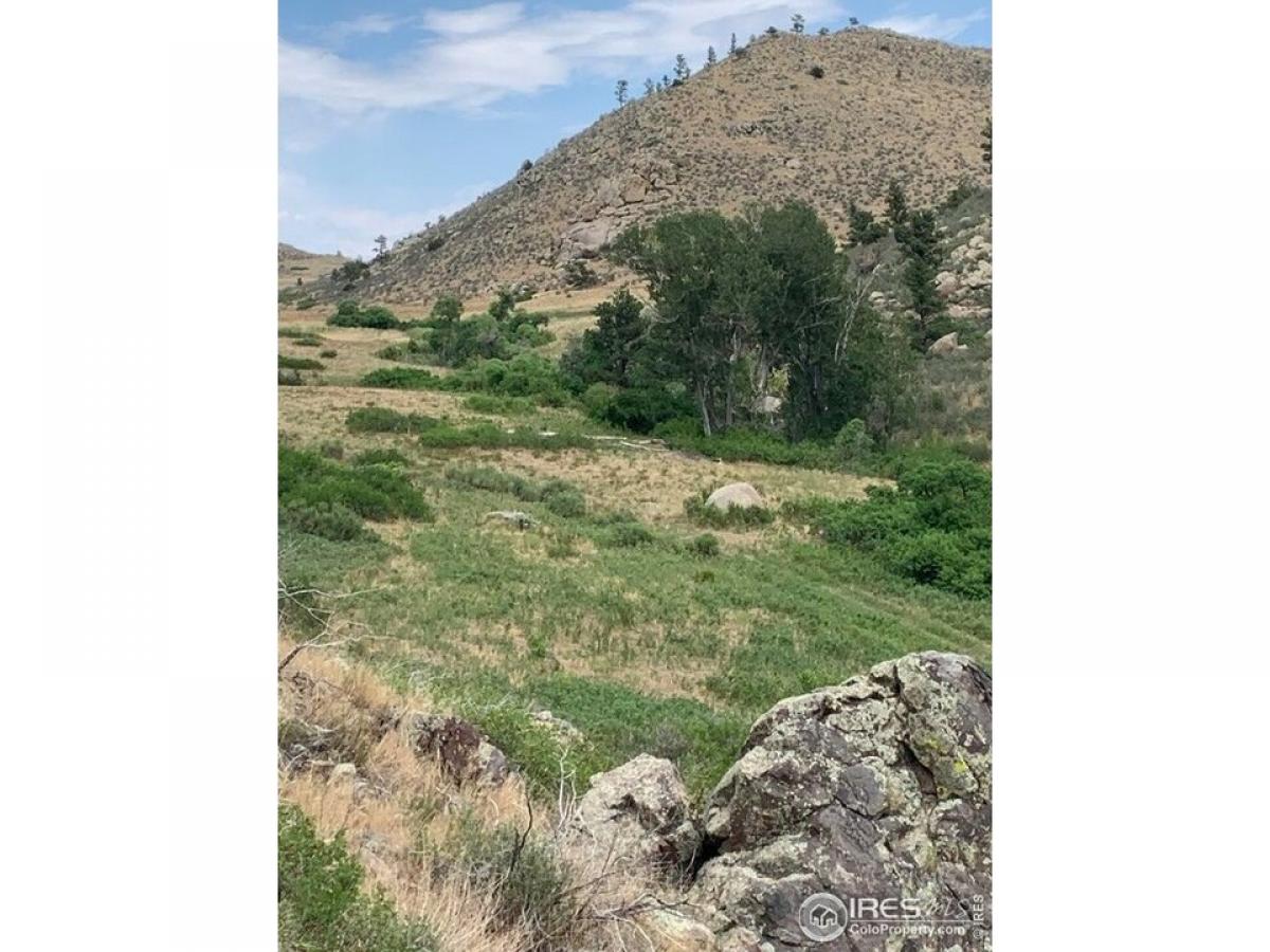 Picture of Residential Land For Sale in Livermore, Colorado, United States