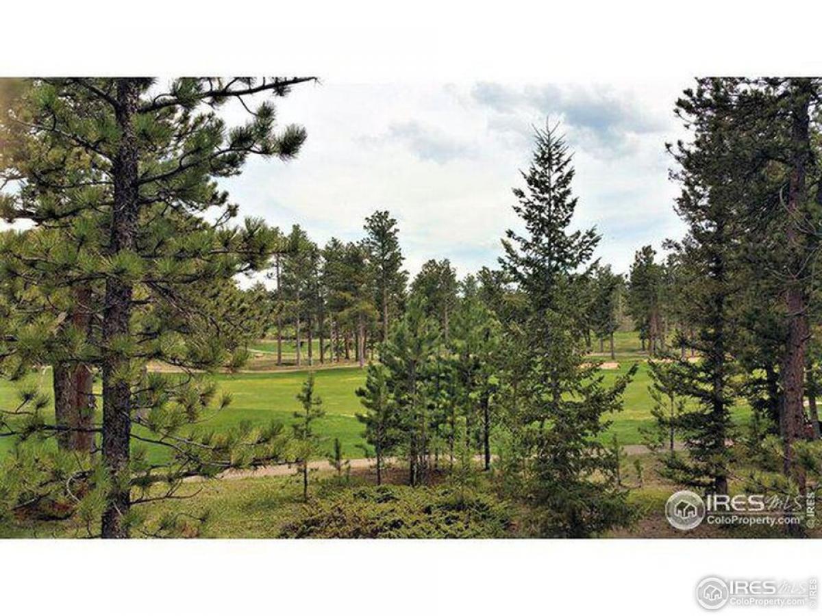 Picture of Residential Land For Sale in Red Feather Lakes, Colorado, United States