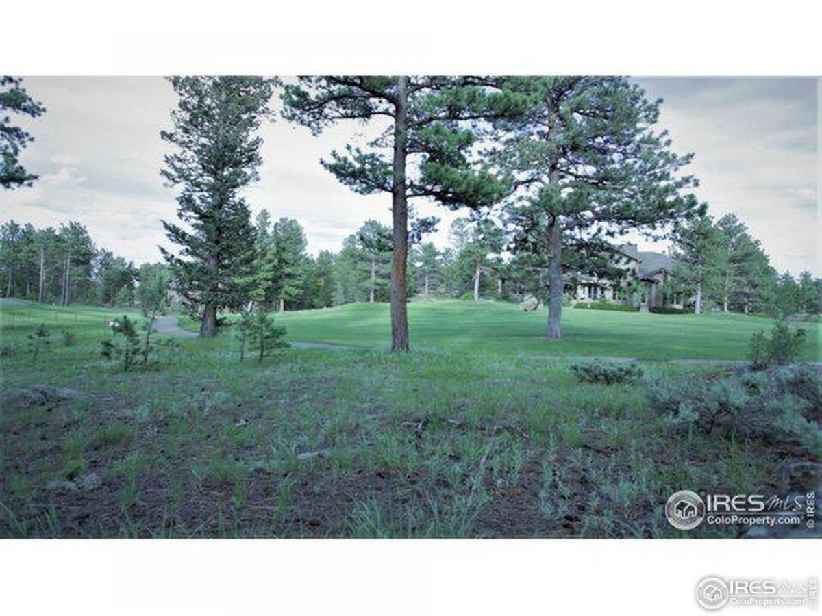 Picture of Residential Land For Sale in Red Feather Lakes, Colorado, United States