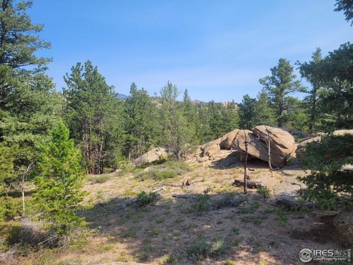 Picture of Residential Land For Sale in Red Feather Lakes, Colorado, United States