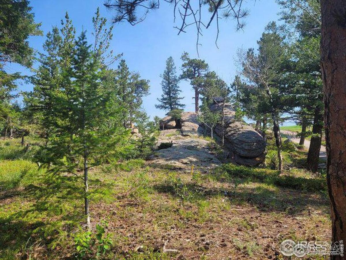 Picture of Residential Land For Sale in Red Feather Lakes, Colorado, United States