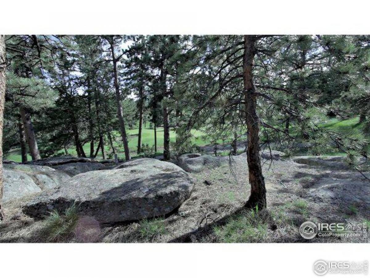 Picture of Residential Land For Sale in Red Feather Lakes, Colorado, United States