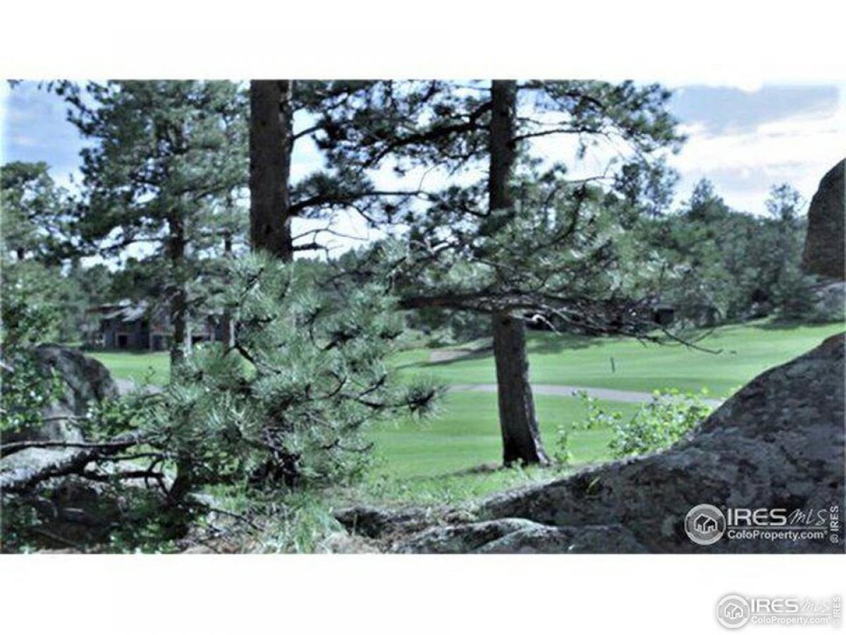 Picture of Residential Land For Sale in Red Feather Lakes, Colorado, United States