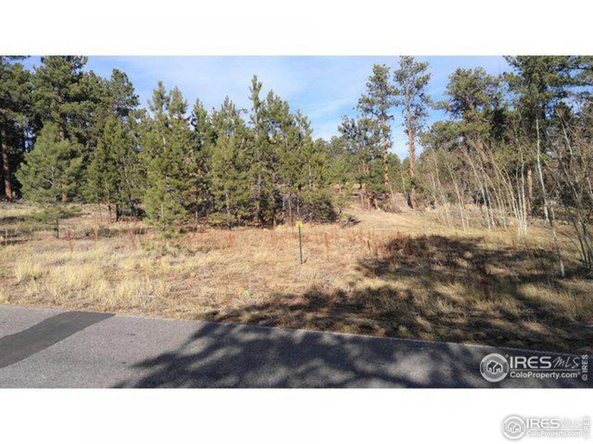 Picture of Residential Land For Sale in Red Feather Lakes, Colorado, United States