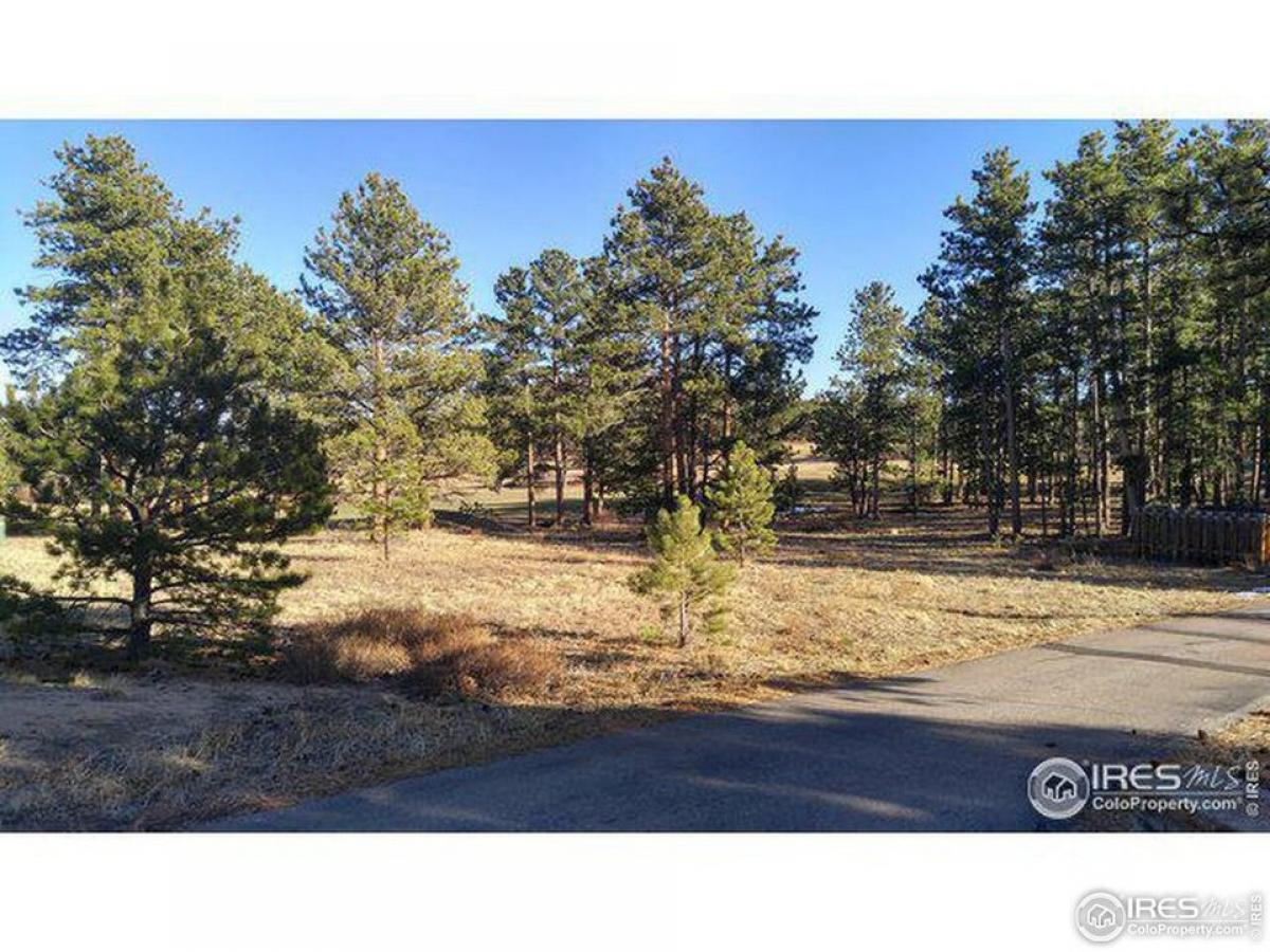 Picture of Residential Land For Sale in Red Feather Lakes, Colorado, United States