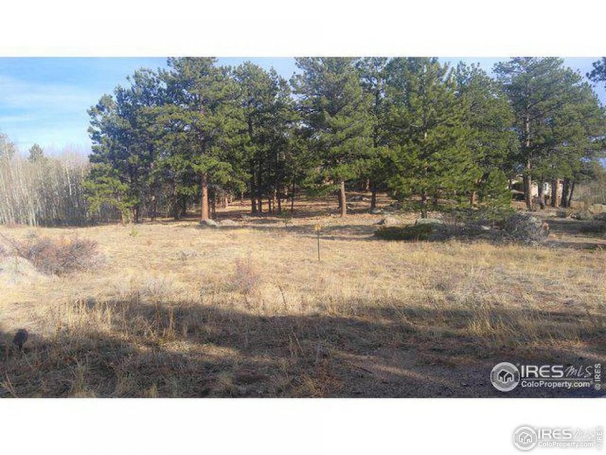 Picture of Residential Land For Sale in Red Feather Lakes, Colorado, United States