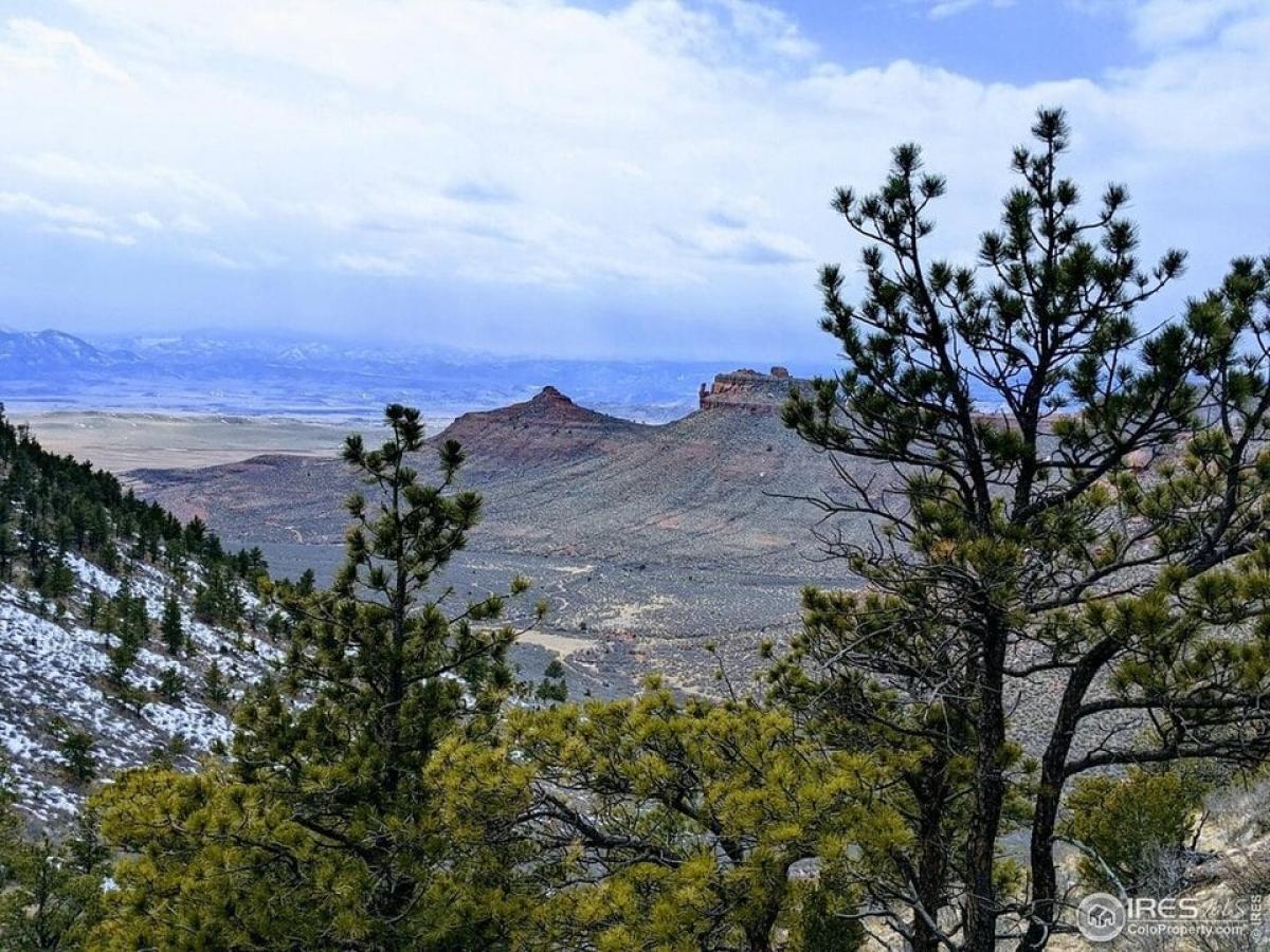 Picture of Residential Land For Sale in Livermore, Colorado, United States