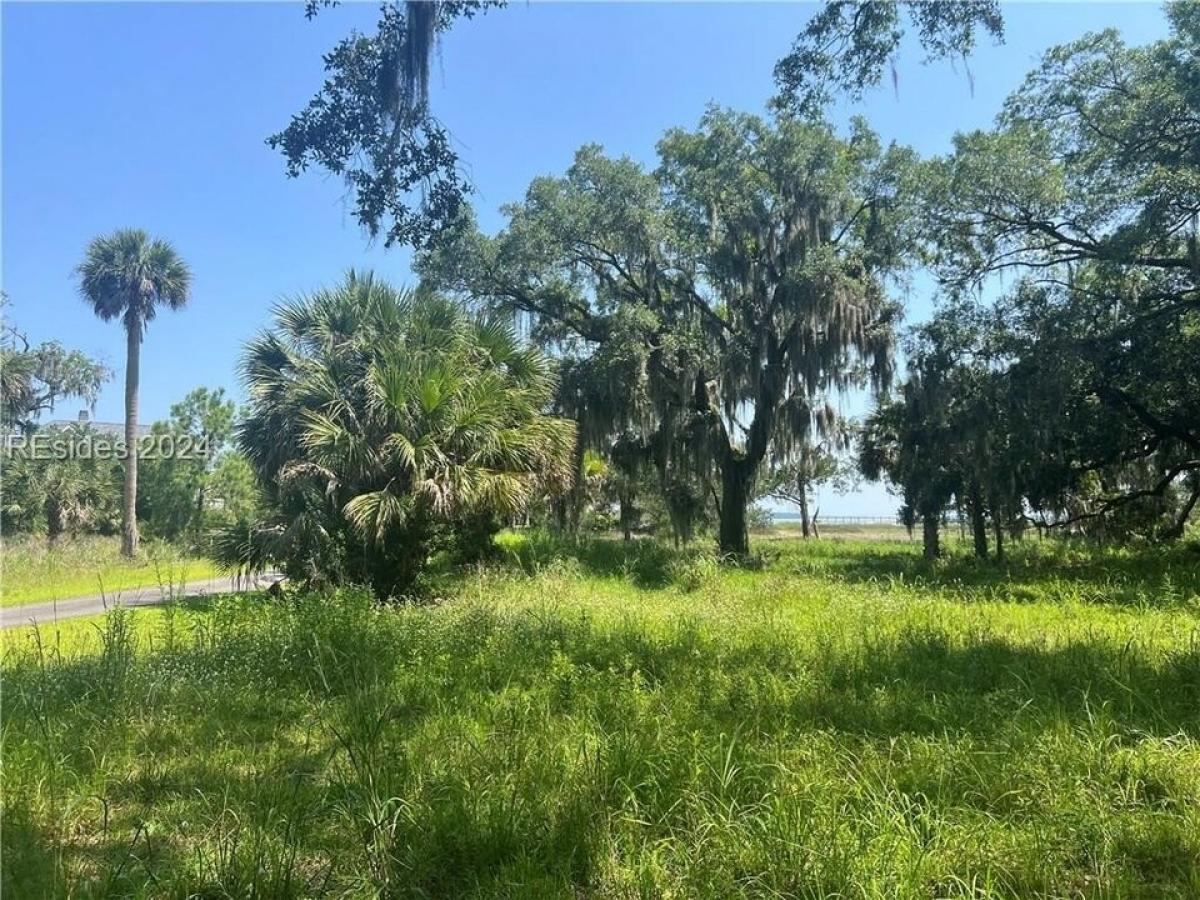 Picture of Residential Land For Sale in Daufuskie Island, South Carolina, United States