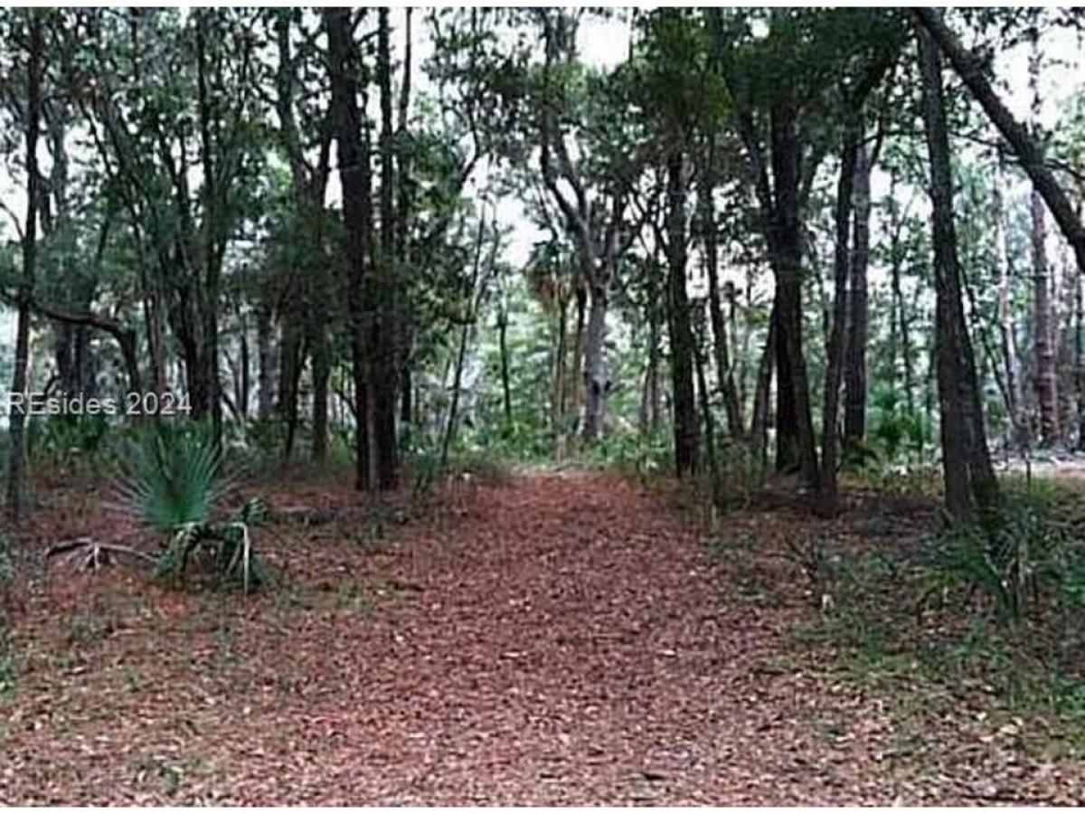 Picture of Residential Land For Sale in Daufuskie Island, South Carolina, United States