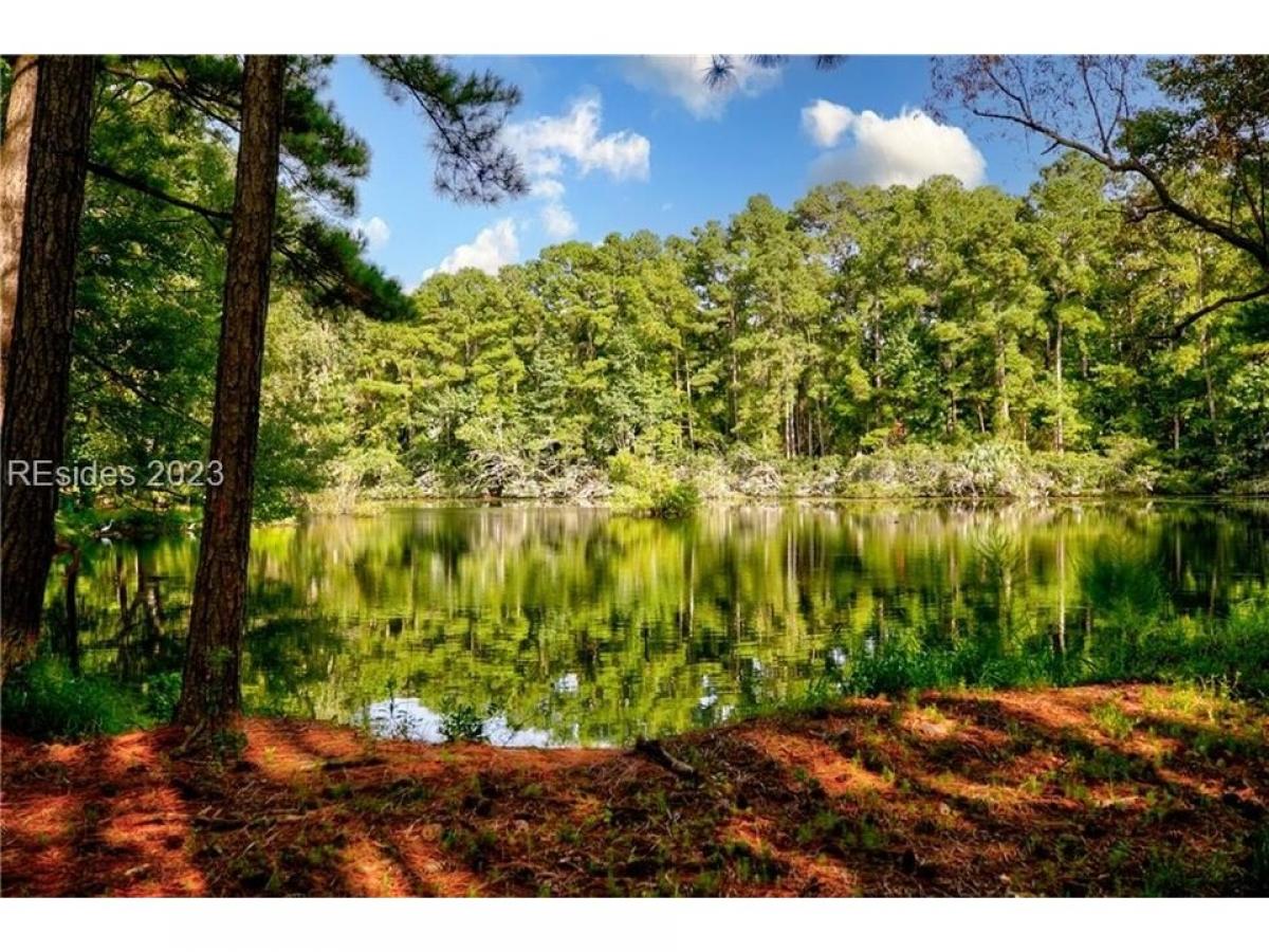 Picture of Residential Land For Sale in Daufuskie Island, South Carolina, United States