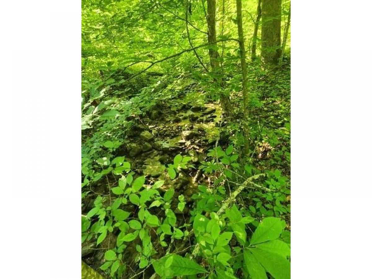 Picture of Residential Land For Sale in Seymour, Tennessee, United States