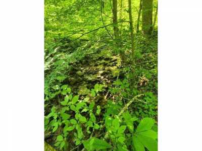 Residential Land For Sale in Seymour, Tennessee