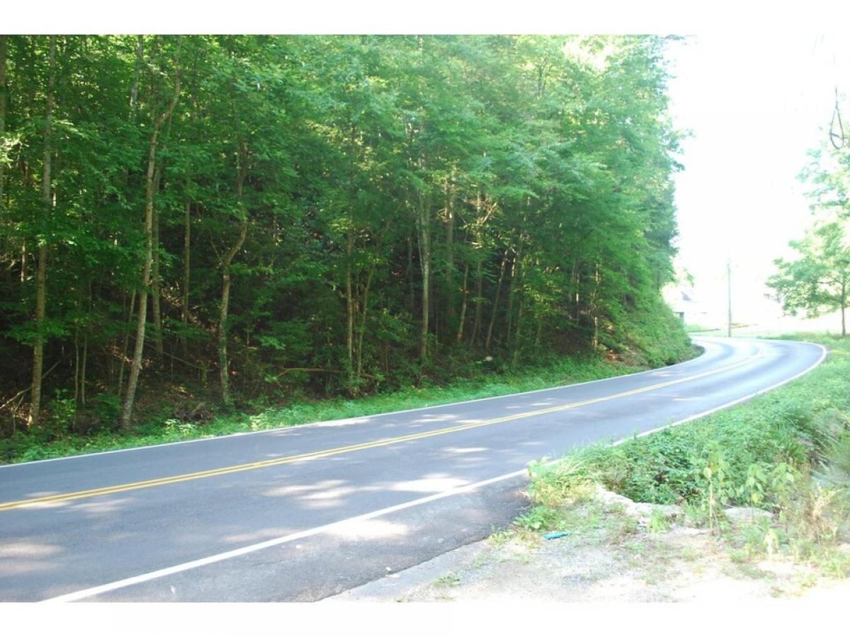 Picture of Residential Land For Sale in Gatlinburg, Tennessee, United States