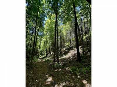 Residential Land For Sale in Cosby, Tennessee