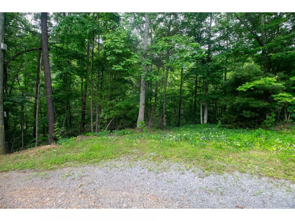 Picture of Residential Land For Sale in Sevierville, Tennessee, United States