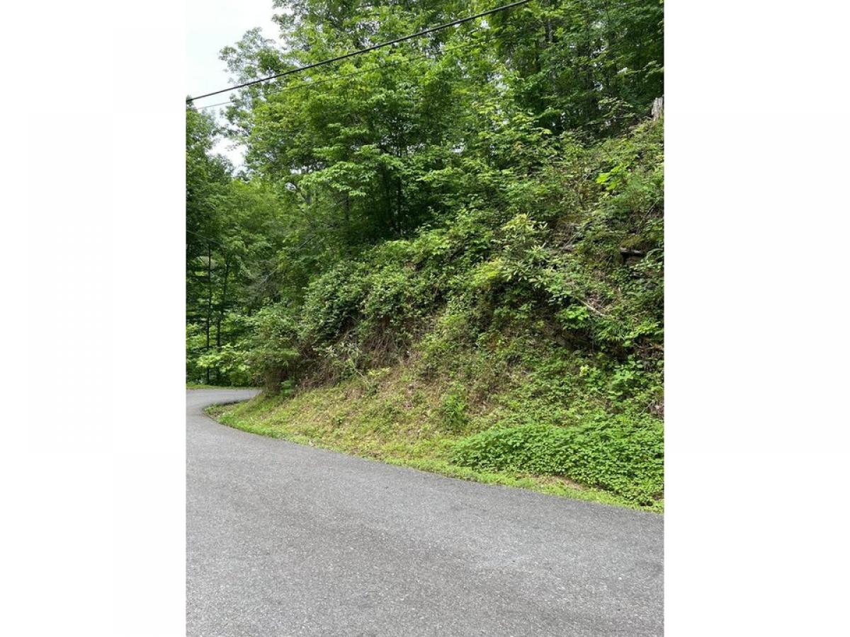 Picture of Residential Land For Sale in Sevierville, Tennessee, United States