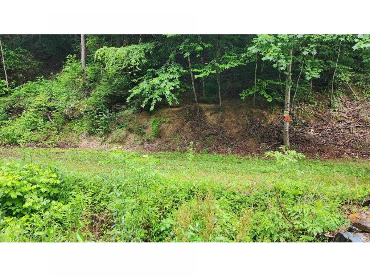 Picture of Residential Land For Sale in Cosby, Tennessee, United States