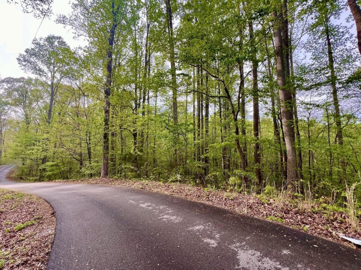 Picture of Residential Land For Sale in Madisonville, Tennessee, United States