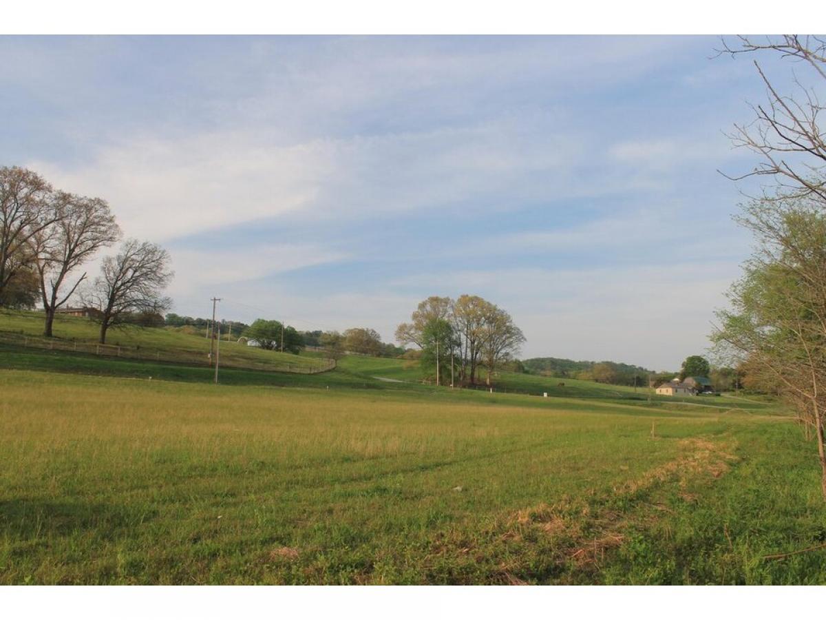 Picture of Residential Land For Sale in Rockford, Tennessee, United States